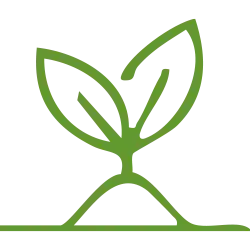 FAX%20de%20Occidente%20 %20Venta%20y%20Distribución%20de%20Semillas%20para%20el%20campo%20en%20México